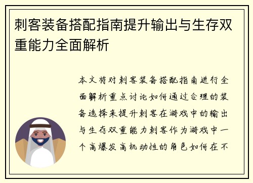刺客装备搭配指南提升输出与生存双重能力全面解析